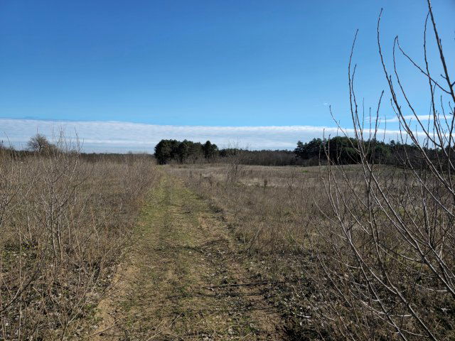 Eladó mezogazdasagi ingatlan, Baján 7.9 M Ft