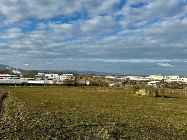 Eladó mezogazdasagi ingatlan, Esztergomban, Dobogókői úton