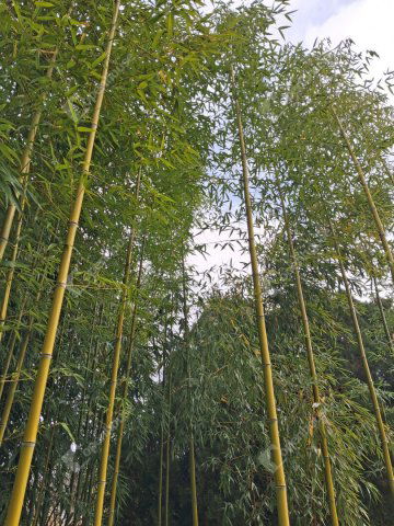 Eladó telek, Komáromban 14.8 M Ft / költözzbe.hu