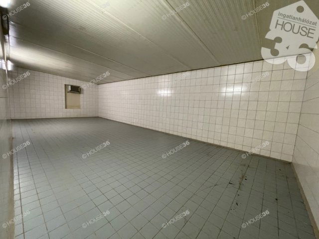 Eladó ipari ingatlan, Nagykőrösön 165 M Ft