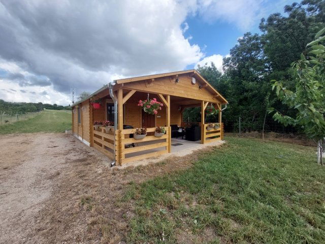 Eladó családi ház, Kápolnásnyéken 55.9 M Ft, 1+1 szobás