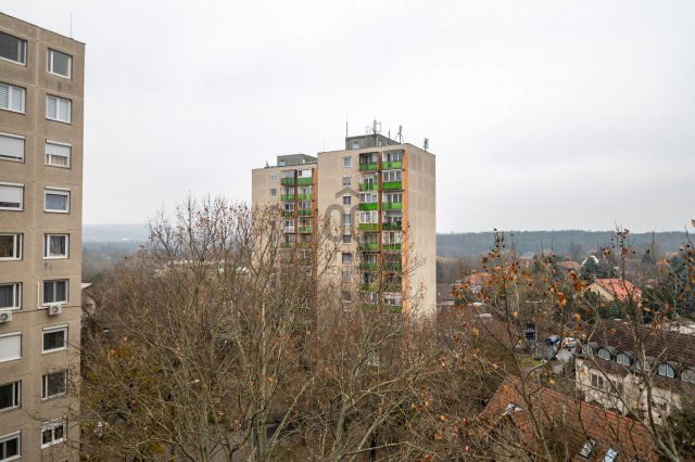 Eladó panellakás, Budapesten, XI. kerületben, Neszmélyi úton