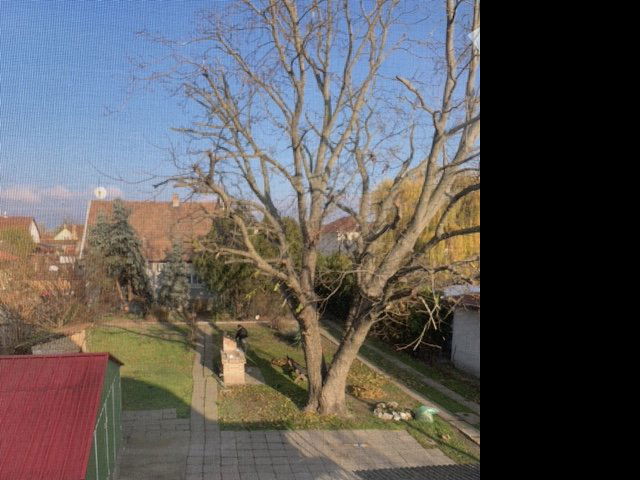 Eladó családi ház, Szigethalmon 92.9 M Ft, 1+3 szobás