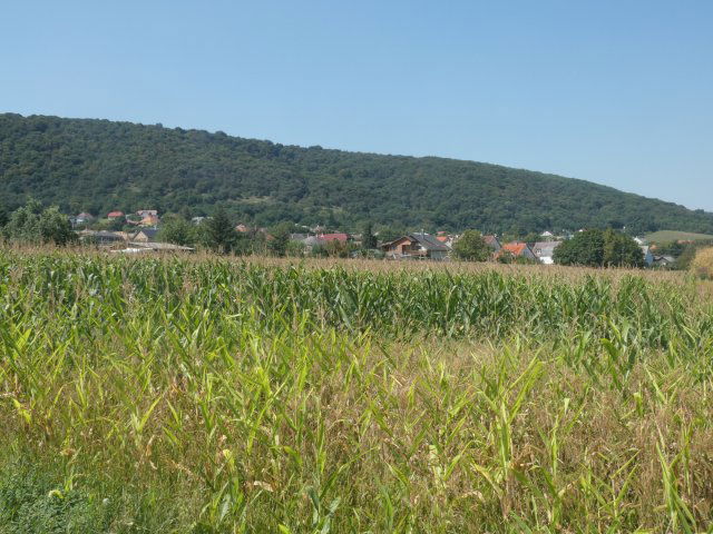 Eladó telek, Tordason 39 M Ft / költözzbe.hu
