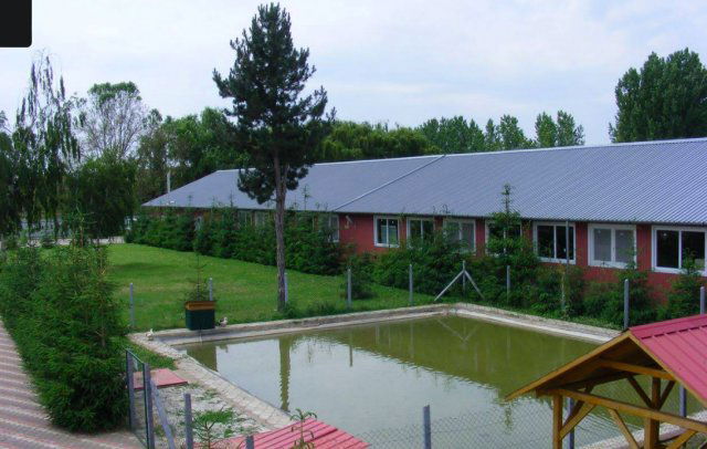 Eladó ipari ingatlan, Kállósemjénen 540 M Ft