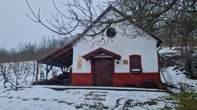 Eladó családi ház, Tokodon 16.8 M Ft, 1 szobás