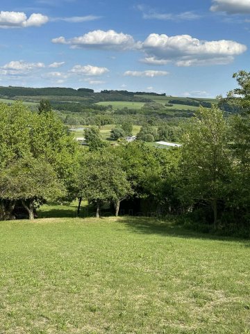 Eladó mezogazdasagi ingatlan, Zalacsányon 29.9 M Ft