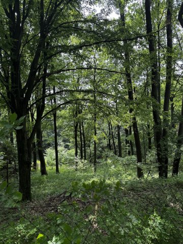 Eladó telek, Mátraszentimrén, Kankalin utcában 24.9 M Ft