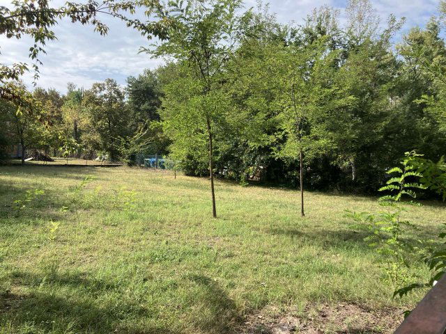 Eladó telek, Balatonfenyvesen 69.99 M Ft / költözzbe.hu