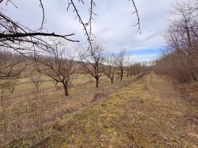 Eladó mezogazdasagi ingatlan, Bátaszéken 18 M Ft