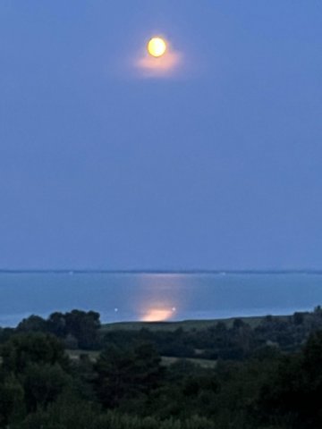 Eladó telek, Balatonalmádiban 72.9 M Ft / költözzbe.hu