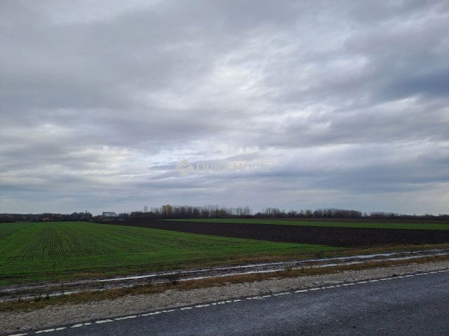 Eladó mezogazdasagi ingatlan, Jászberényben 12.9 M Ft