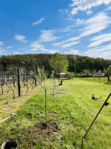 Eladó telek, Várgesztesen 6 M Ft / költözzbe.hu