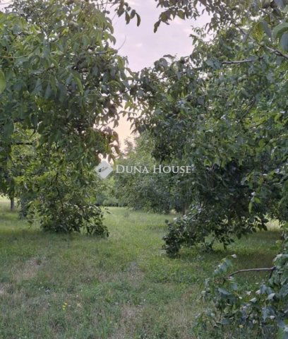 Eladó telek, Ádándon 8.5 M Ft / költözzbe.hu