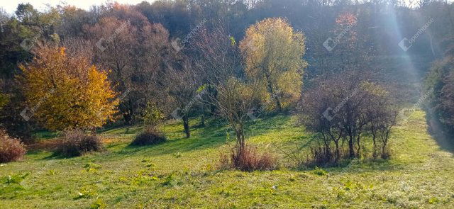 Eladó telek, Zalaegerszegen 0.75 M Ft / költözzbe.hu