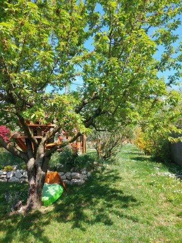 Eladó nyaraló, Tatabányán 22.5 M Ft, 1 szobás