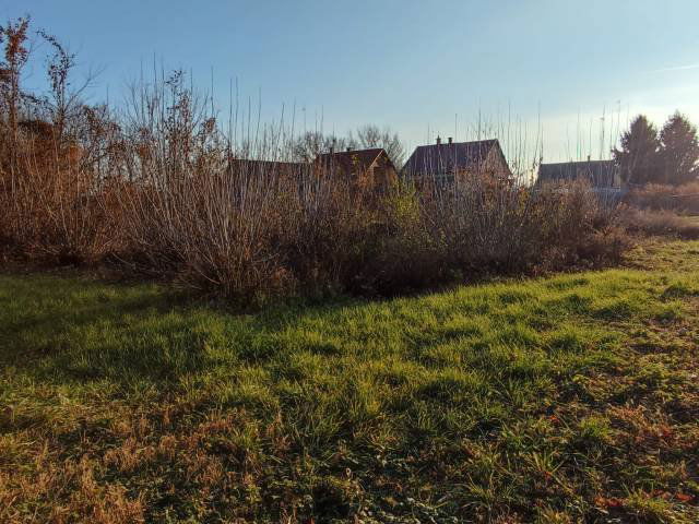 Eladó telek, Pilisen 31 M Ft / költözzbe.hu