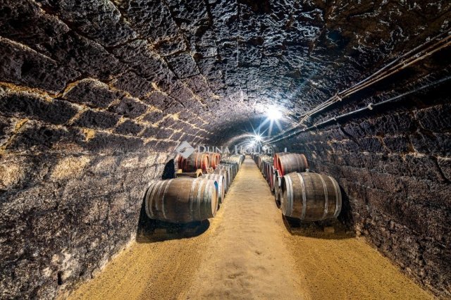 Eladó üzlethelyiség, Tokajban 129 M Ft / költözzbe.hu