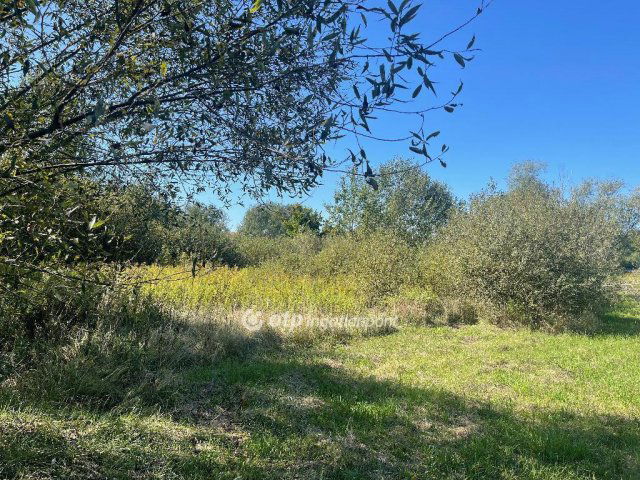 Eladó telek, Nyíregyházán 13 M Ft / költözzbe.hu