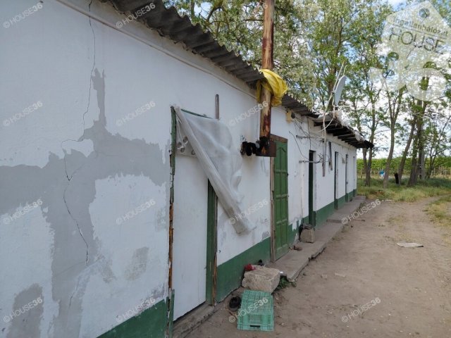 Eladó mezogazdasagi ingatlan, Kecskeméten 18 M Ft, 1 szobás