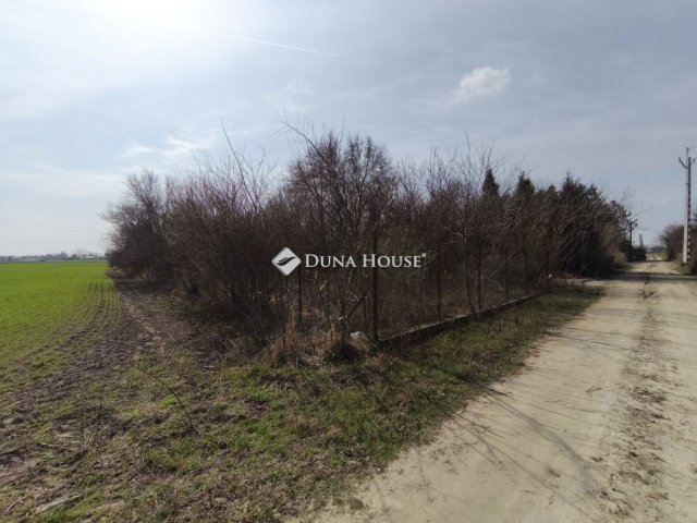 Eladó telek, Apostagon 5.5 M Ft / költözzbe.hu