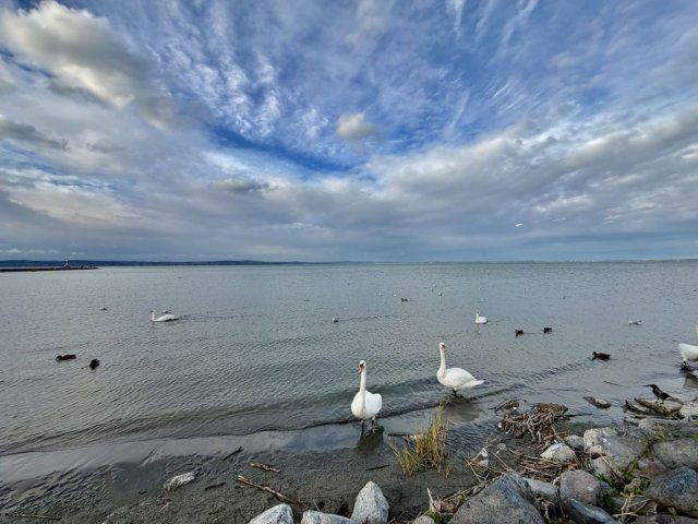 Eladó sorház, Siófokon 57.9 M Ft, 4 szobás