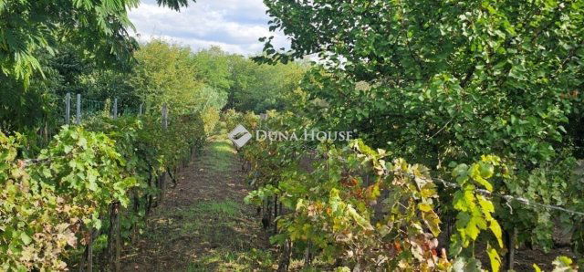 Eladó mezogazdasagi ingatlan, Kókán 16.9 M Ft