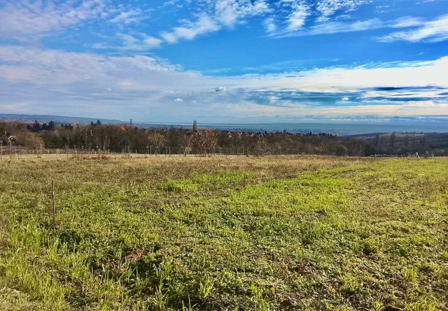 Eladó telek, Nemesbükön 26.5 M Ft / költözzbe.hu