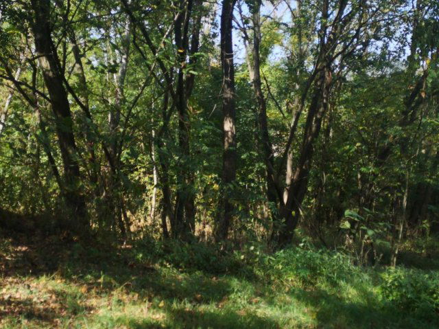 Eladó telek, Visegrádon 39.99 M Ft / költözzbe.hu