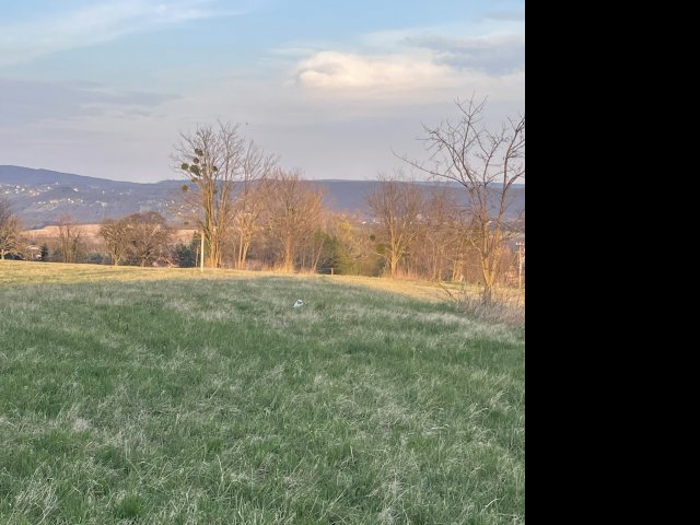 Eladó telek, Nemesbükön 42 M Ft / költözzbe.hu