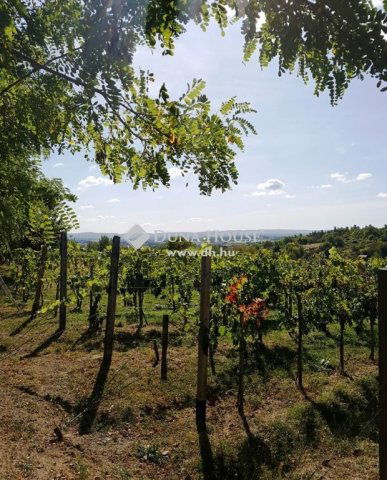 Eladó mezogazdasagi ingatlan, Környén 259.9 M Ft