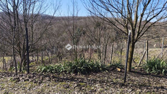 Eladó telek, Pellérden 3.9 M Ft / költözzbe.hu