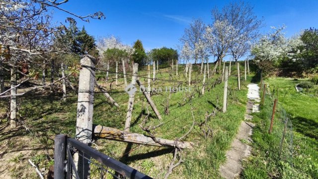 Eladó telek, Pellérden 1.9 M Ft / költözzbe.hu