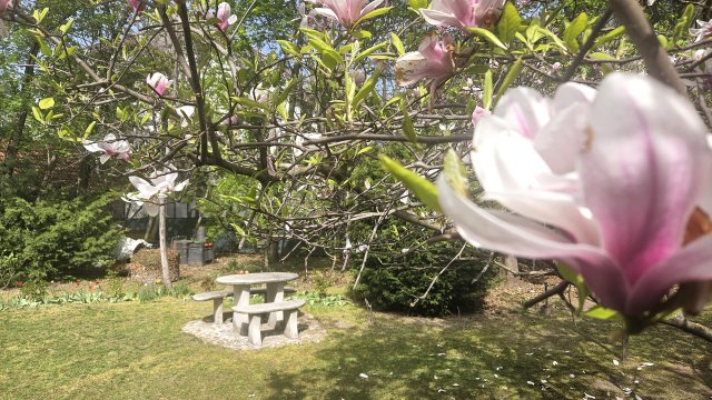 Eladó családi ház, Budapesten, XVI. kerületben 399 M Ft