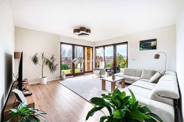 Eladó családi ház, Telkin 269 M Ft, 6 szobás