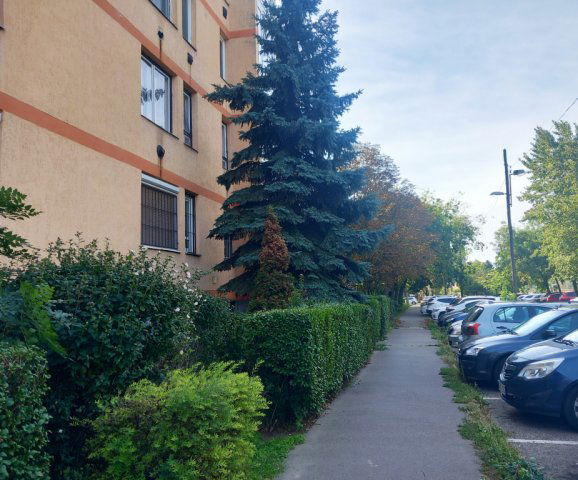 Kiadó téglalakás, albérlet, X. kerületben, Szentimrey utcában