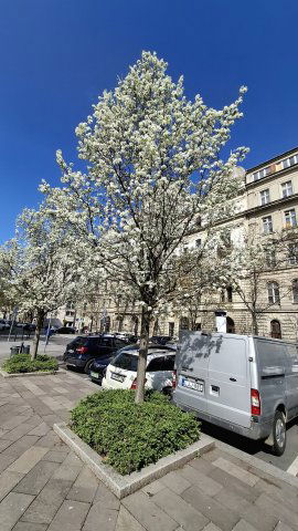 Kiadó ipari ingatlan, Budapesten, V. kerületben 588 E Ft / hó