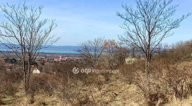 Eladó telek, Kőröshegyen 7.9 M Ft / költözzbe.hu