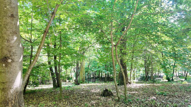 Eladó telek, Sopronban 35 M Ft / költözzbe.hu