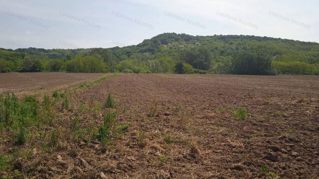 Eladó mezogazdasagi ingatlan, Rezin 2.4 M Ft / költözzbe.hu