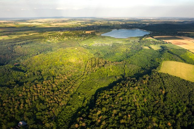 Eladó családi ház, Fehérvárcsurgón 92 M Ft, 3 szobás