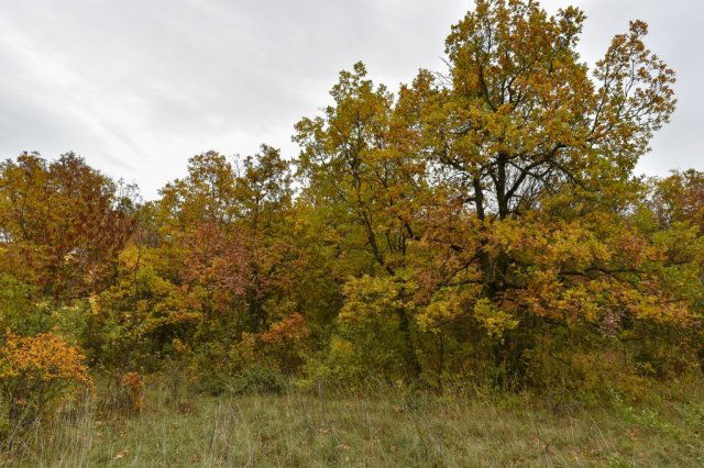 Eladó telek, Pécselyen 19.99 M Ft / költözzbe.hu