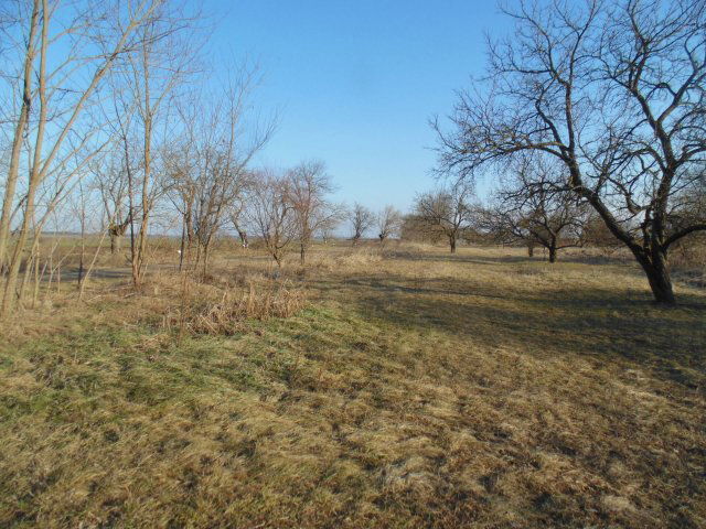 Eladó telek, Sajóvámoson 1.3 M Ft / költözzbe.hu