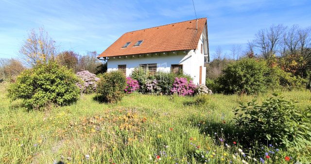 Eladó családi ház, Domonyban 29.5 M Ft, 5+2 szobás