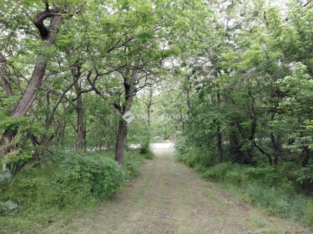 Eladó családi ház, Pakson 34.9 M Ft, 3 szobás