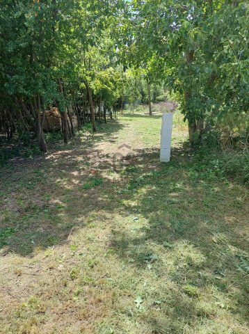Eladó mezogazdasagi ingatlan, Balatonszabadiban 14.9 M Ft