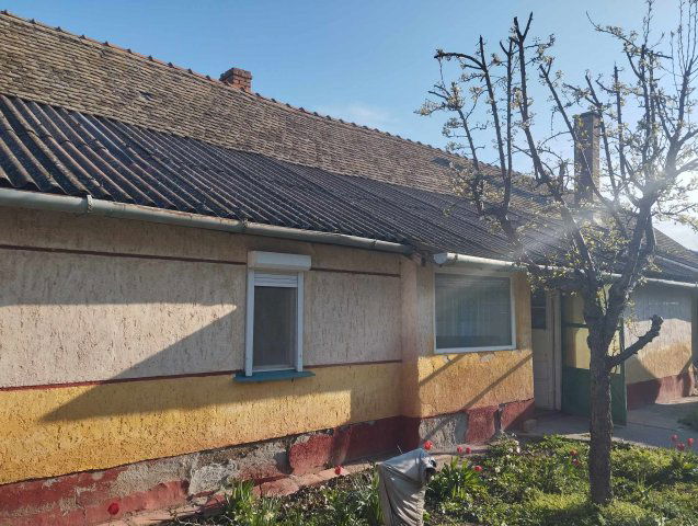 Eladó családi ház, Királyhegyesen 6.9 M Ft, 3 szobás