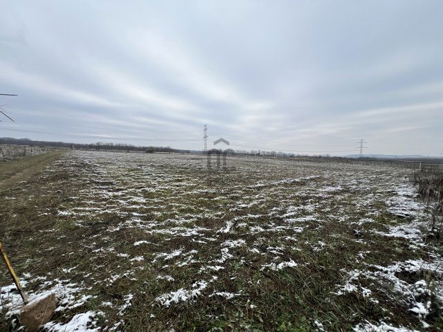 Eladó telek, Szadán 12 M Ft / költözzbe.hu