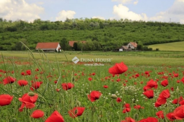 Eladó családi ház, Vácegresen 279.9 M Ft, 6 szobás