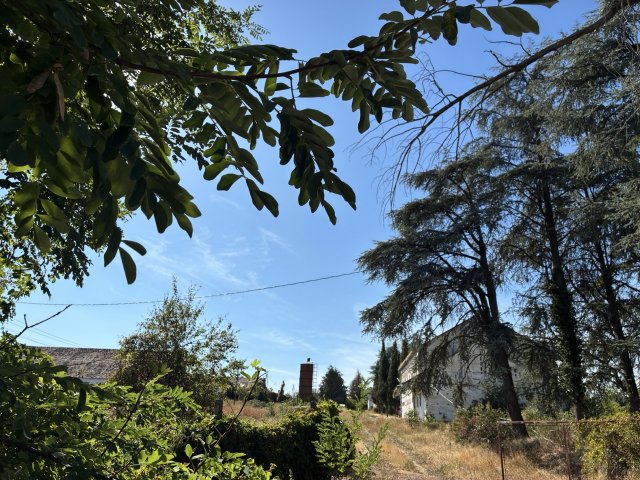 Eladó mezogazdasagi ingatlan, Babarcon 169.9 M Ft